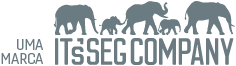 logo-company-itsseg-footer